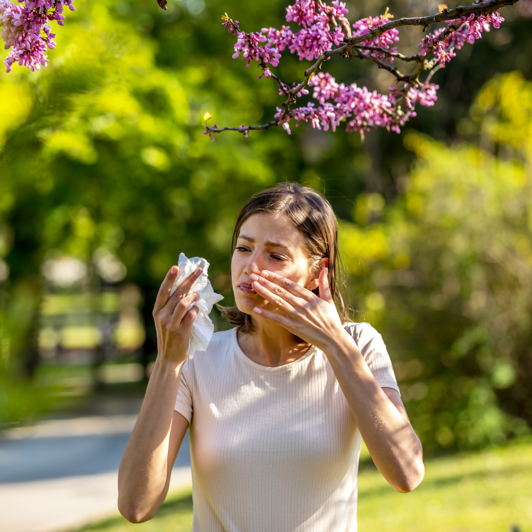 Hay Fever Relief